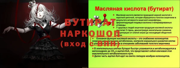 шишки Верея
