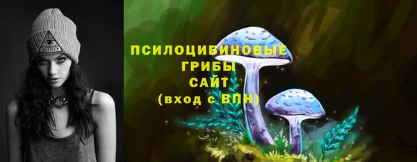 герыч Россошь