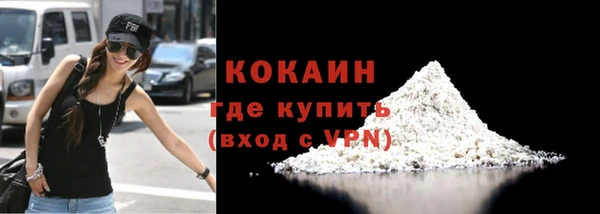 шишки Верея