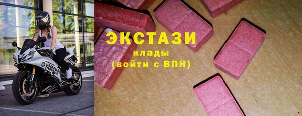 шишки Верея