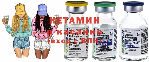 шишки Верея