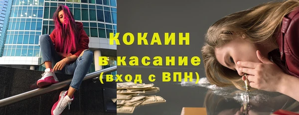 шишки Верея