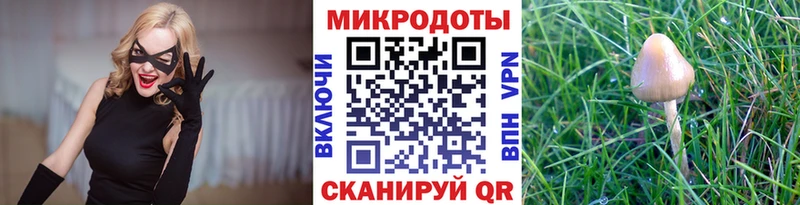Галлюциногенные грибы GOLDEN TEACHER  KRAKEN ТОР  Отрадный  купить закладку 
